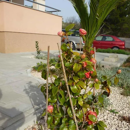 In Starigrad-paklenica 34822 Apartament Starigrad Paklenica