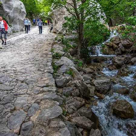 In Starigrad-paklenica 34822 公寓 斯塔利格拉德-帕克利尼卡